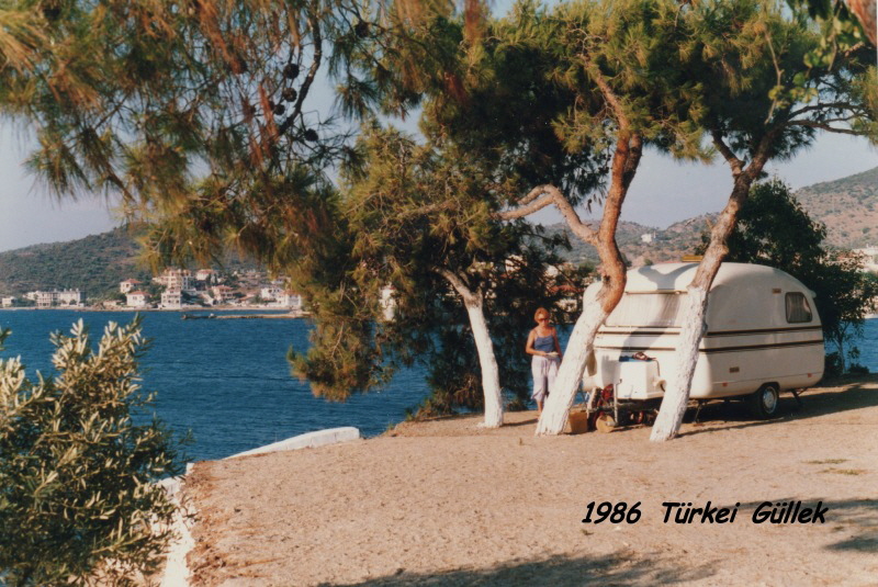 ZF 1986 TR Gllek114-1