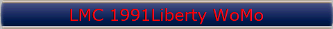 LMC 1991Liberty WoMo